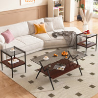 3 piece Living Room Coffee Table and End Table Set by Mercer41
