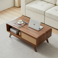 Bengiman Coffee Table With Storage by George Oliver