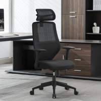 Nathania Ergonomic Mesh Task Chair with Adjustable Headrest Office Chair by Inbox Zero