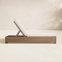 Myzafer Eucalyptus Chaise Lounge by Latitude Run