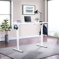 Primo Sit/Stand Electric Desk by Inbox Zero