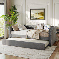 Lahari Velvet Daybed by House of Hampton
