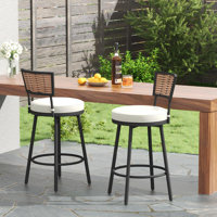 Swivel Outdoor Bar&Counter Stool with Cushion
