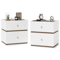 2-drawer Nightstand Modern Bedside Table With Storag Raised Edge For Living Room by Latitude Run