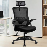 Naporsha Ergonomic Mesh Office Chair with Headrest by Inbox Zero