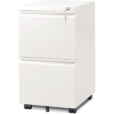 2 Drawer Mobile File Cabinet With Lock, Commercial Vertical Cabinet by Ebern Designs