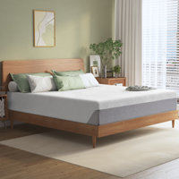 Alwyn Home 10” Cool Basic Memory Foam Mattress (New), Fiberglass-Free, Medium-Touch, Cool Airflow Memory Foam, Safe And Comfortable, Mattress In A Bo by Alwyn Home