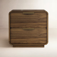 Kiefer 2-Drawer Walnut Nightstand with USB, Carmel by AllModern