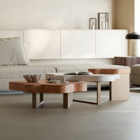 Callingwood No Assembly Required Modern Luxury Cloud-Shaped Irregular Coffee Table Set by Everly Quinn