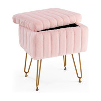 Vanity Stool Chair With Storage, Ottoman Faux Fur Soft Padded Makeup Footstools Seat With 4 Metal Legs Anti-Slip Adjustable Feet Modern Cute Small Foo by Mercer41