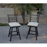 Aluminum 26 Inch Swivel Bar Stool with Cushion(set of 2) by Lark Manor