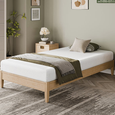 Mattress In A Box, Green Tea Memory Foam Medium Firm, 5 Inch Mattresses For Platform Bed by Ebern Designs