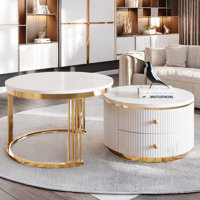 Modern 2 Pieces Round Nesting Lathgertha With 2 Drawers And Electroplated Gold Legs by Mercer41