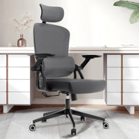 Heavy Duty Ergonomic Desk Office Chair, High Back Home Computer Chair With Headrest And Adjustable Swivel 3D Armrests For Comfort Adjustable Lumbar by Inbox Zero