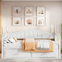 Elegant Extendable Anelma Daybed With Two Storage Drawers And Twin Size Trundle by Darby Home Co