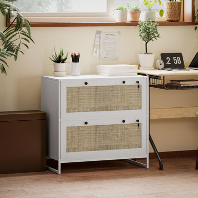 2 Drawer File Cabinet with Lock, Vertical Filing Cabinet with Keys, Rattan Drawers and Adjustable Hanging Bar for Letter, A4 and Legal Size Paper, Whi by Bay Isle Home