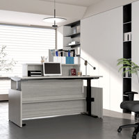 Nirutma Height Adjustable Executive Desk With Storage Open Shelf by Inbox Zero