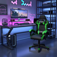 Gaming Chair with Heated Cushion by Ebern Designs