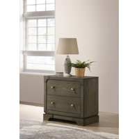 Gaetanina 2-drawer Nightstand by Lark Manor