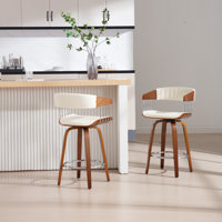 Modern And Stylish Bucket Seat Height 26