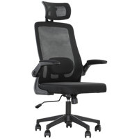 Ergonomic Office Chair, High Back Desk Chair with Flip-up Armrest, Rotatable Headrest, Tilt Function, Adjustable Lumbar Support, Swivel Wheels, Mesh C by Inbox Zero