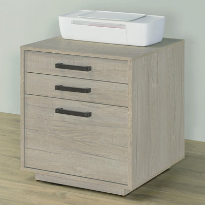 3-drawer Home Office File Cabinet Whitewashed Grey by Ebern Designs