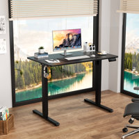 Oishee Electric Adjustable Standing Desk by Inbox Zero