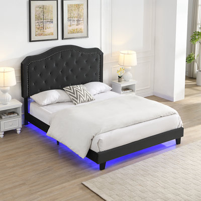 Upholstered Bed Button Tufted With Curve Design - Strong Wood Slat Support - Easy Assembly - Velvet - With LED Light-Platform Bed - Queen by Trule
