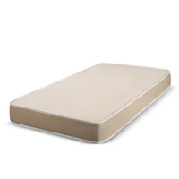 Foam Mattress 5" with Durable Fabric Cover by Alwyn Home