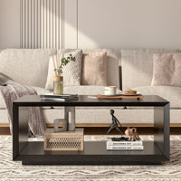 Rectangular Coffee Table With Storage For Living Room, Small Spaces by Latitude Run