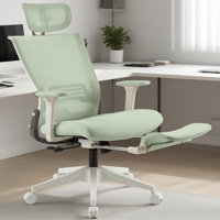 Nikaylah Foldable Mesh Office Chair, Ergonomic Task Chair with 2D Headrest , 2D Armrest and Footrest by Inbox Zero
