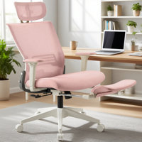 Nikaylah Foldable Mesh Office Chair, Ergonomic Task Chair with 2D Headrest , 2D Armrest and Footrest by Inbox Zero
