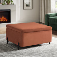 Delton 31.1" Flip-Tray Large Storage Ottoman by Mercer41