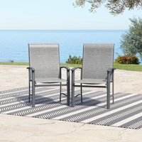 Outdoor Dining Chairs Set of 2 All-Weather Textilene Metal Patio Chairs - High Back Ergonomic Design for Garden, Deck, Balcony by Winston Porter