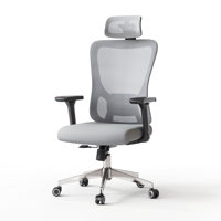 Breathable Mesh Back Ergonomic Office Chair With Headrest by Inbox Zero