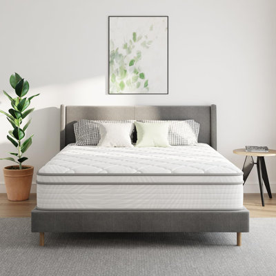 10 inch Twin Mattress, Hybrid Mattress Twin Size with Comfortable Foam & Individually Pocket Spring, Twin Size Mattress in a Box for Back Pain Relief by Alwyn Home