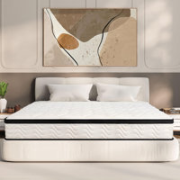 Queen Mattress 10 Inch | Queen Size Hybrid Mattresses in a Box | Medium Firm Feel Memory Foam and Individual Pocket Springs | Fiberglass Free Bed Matr by Alwyn Home
