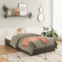 DreamSaver Set Platform Bed Frame + Mattress Included, Twin Size Platform Bed and 6-Inch Mattress Set by Ebern Designs