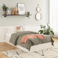 DreamSaver Set Platform Bed Frame + Mattress Included, Twin Size Platform Bed and 6-Inch Mattress Set by Ebern Designs