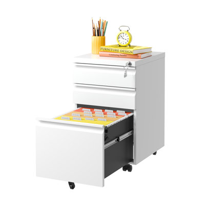 3-Drawer Metal Mobile File Cabinet with Lock for Home Office – Fully Assembled by Ebern Designs