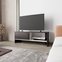 Rock Point Entertainment Center with a Door and Open Storage by Ebern Designs