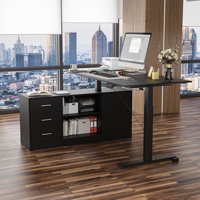 Ergonomic Home Office Sit Stand Up Desk With Memory Preset Controller by Latitude Run