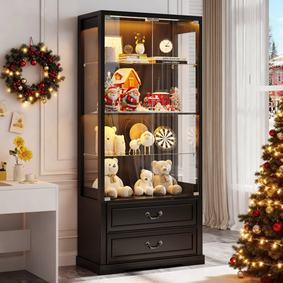 66" Tall Display Cabinet by Winston Porter