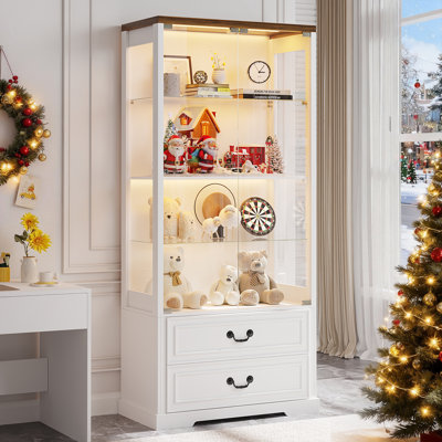 66" Tall Display Cabinet by Winston Porter
