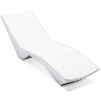 Pool Lounger by Wrought Studio