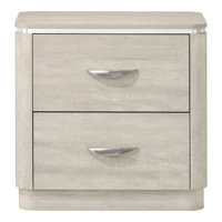 Czarnecki 2-Drawer Nightstand by Latitude Run