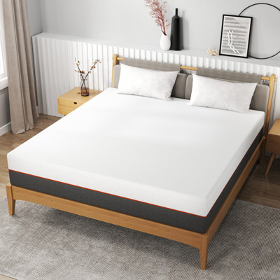 10" Medium Memory Foam Mattress in a Box by Alwyn Home