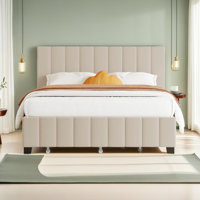 Queen Size Velvet Upholstered Platform Bed With 2 Drawers And 1 Twin XL Trundle by Mercer41