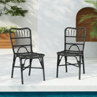 Magnus Patio PE Wicker Dining Chair Set by Bay Isle Home