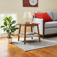 Boho 23" Mid-Century Side Table with Woven Shelf, Storage, Perfect for Living Room, Couch, Patio, Home Office, Bedside by George Oliver
